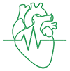 CARDIO VASCULAR SYSTEM