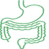 Gastro Intestinal System/CARE