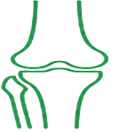MUSCULO SKELETON