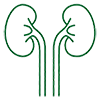 URINARY SYSTEM